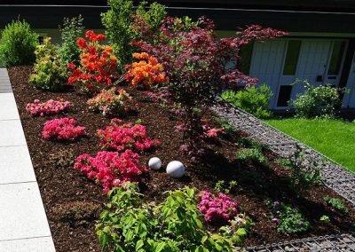 Bockheim Gartenbau - Pflanz- und Pflegearbeiten