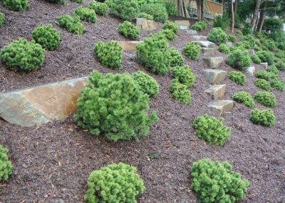 Bockheim Gartenbau