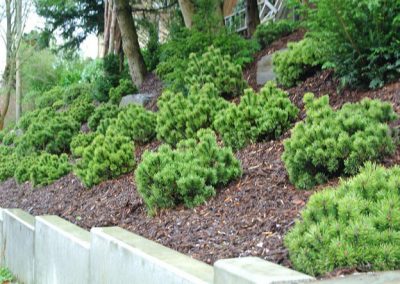 Bockheim Gartenbau